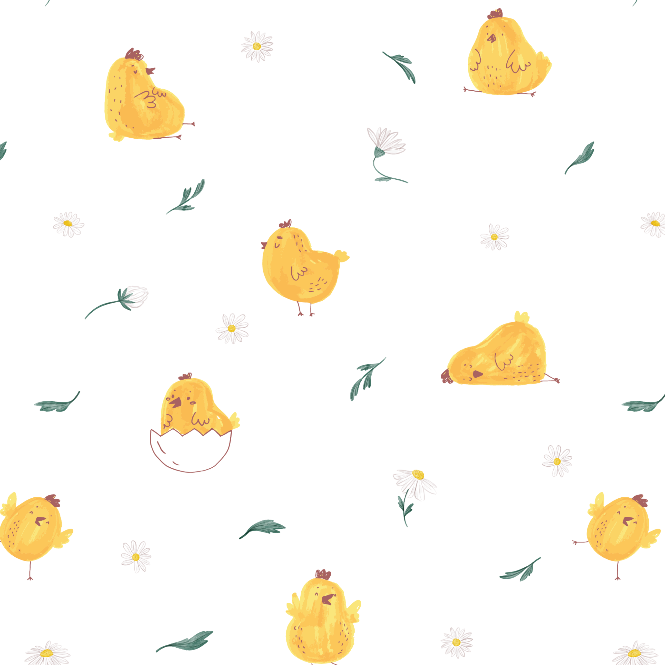 Little Chick