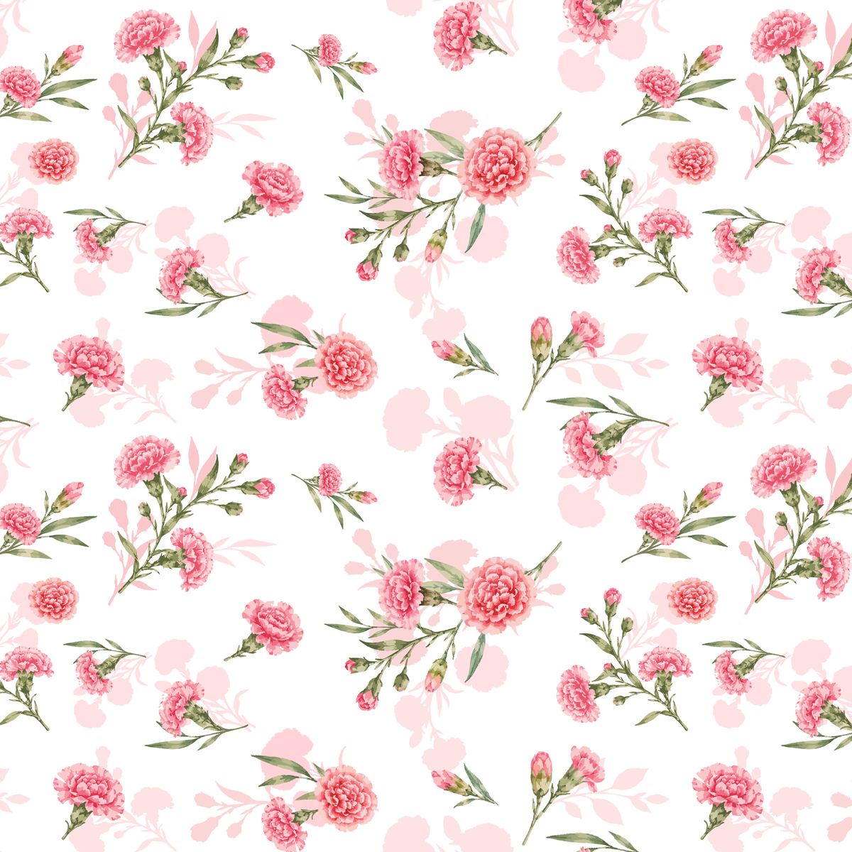 Carnation