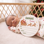 Birth Stats Sign in Santa's Joyride