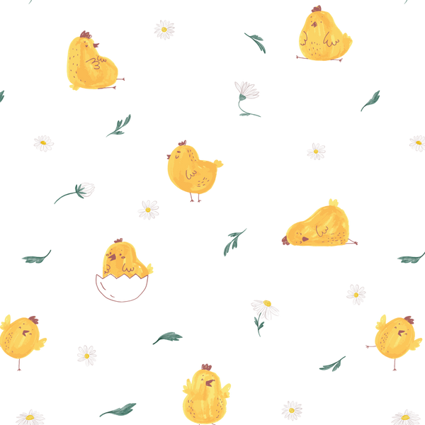 Little Chick