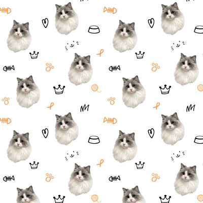 Kitty Portrait