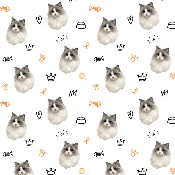 Kitty Portrait