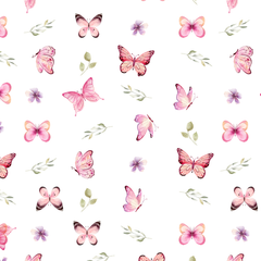 Butterfly Collection