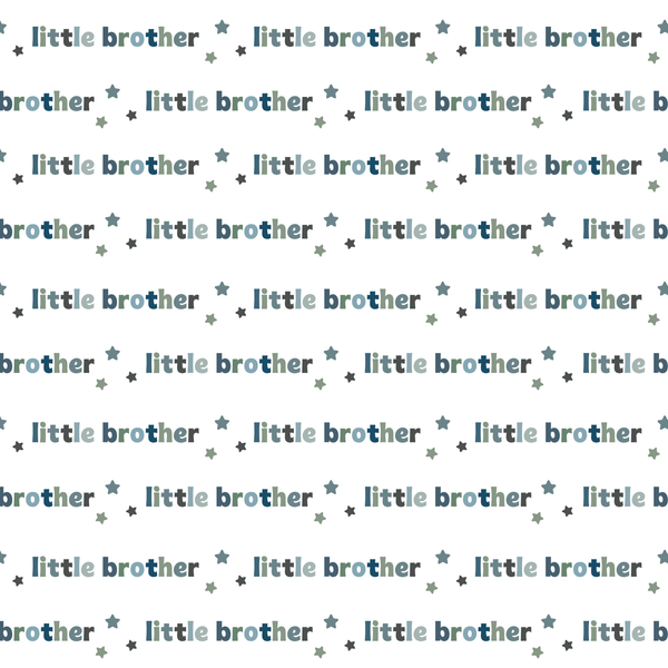 Little Brother