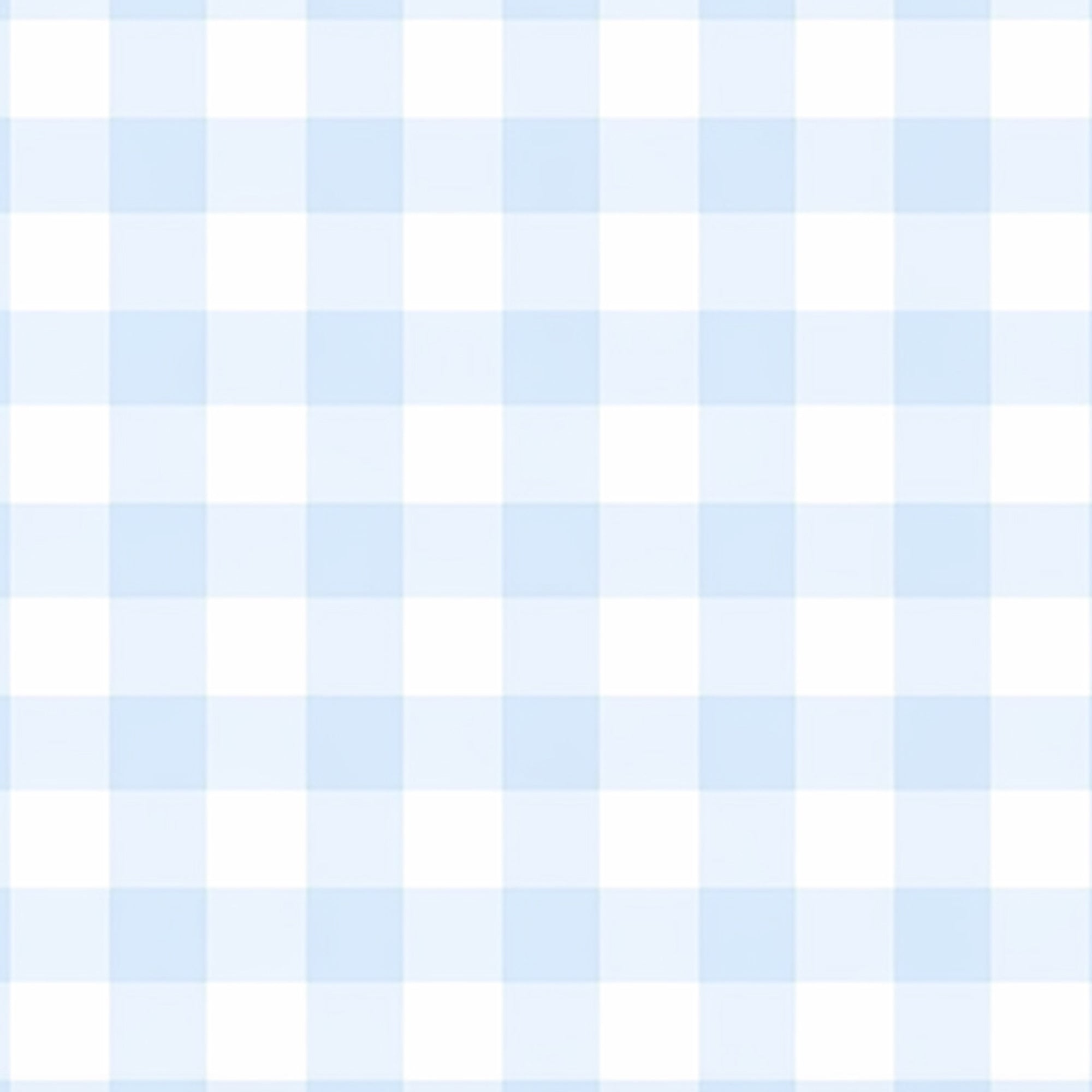 Baby Blue Gingham