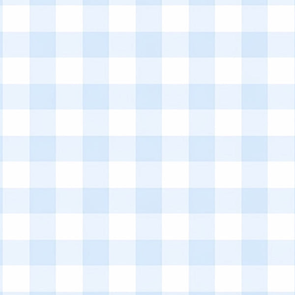 Baby Blue Gingham