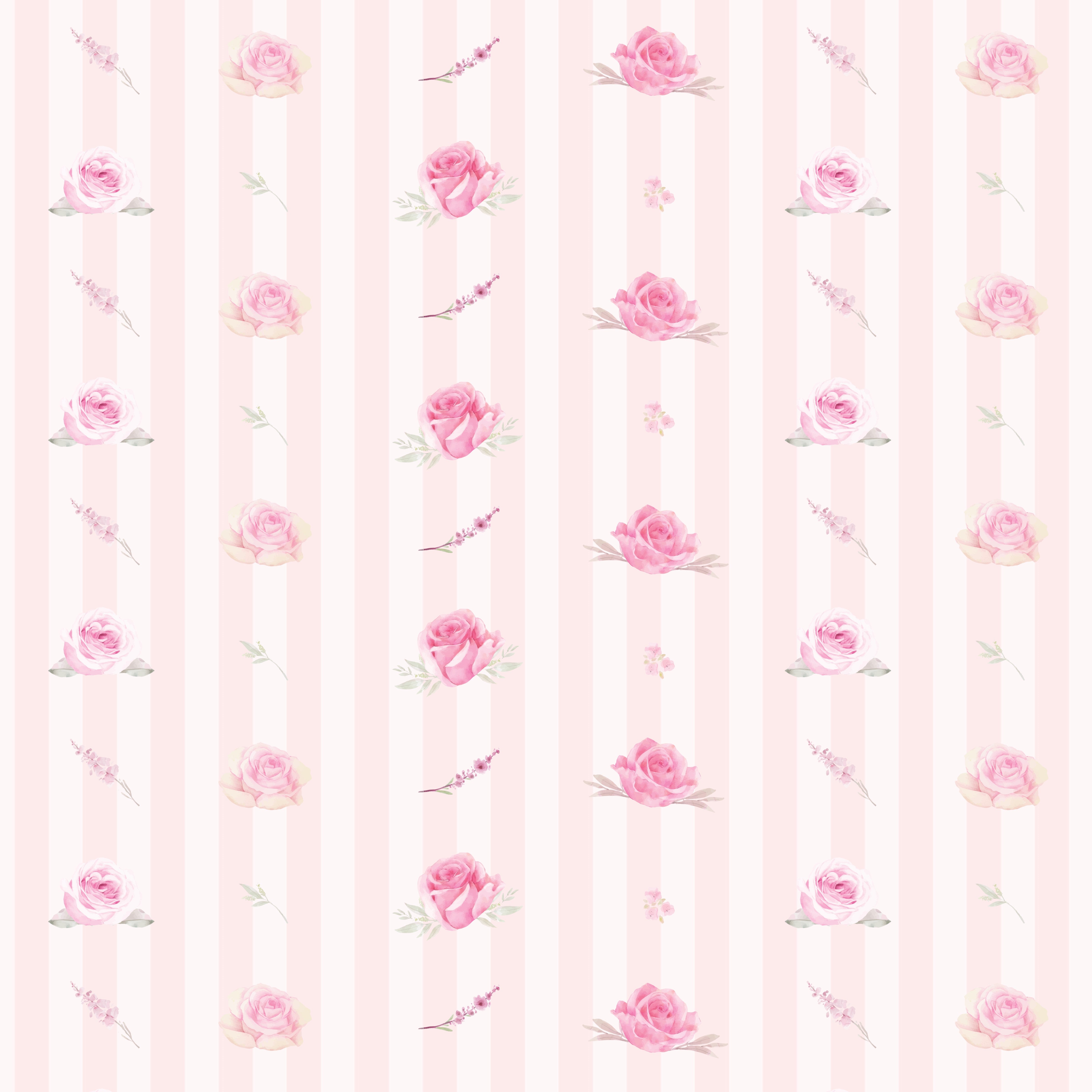 Rosy