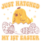 Little Chick