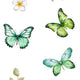 Green Butterfly