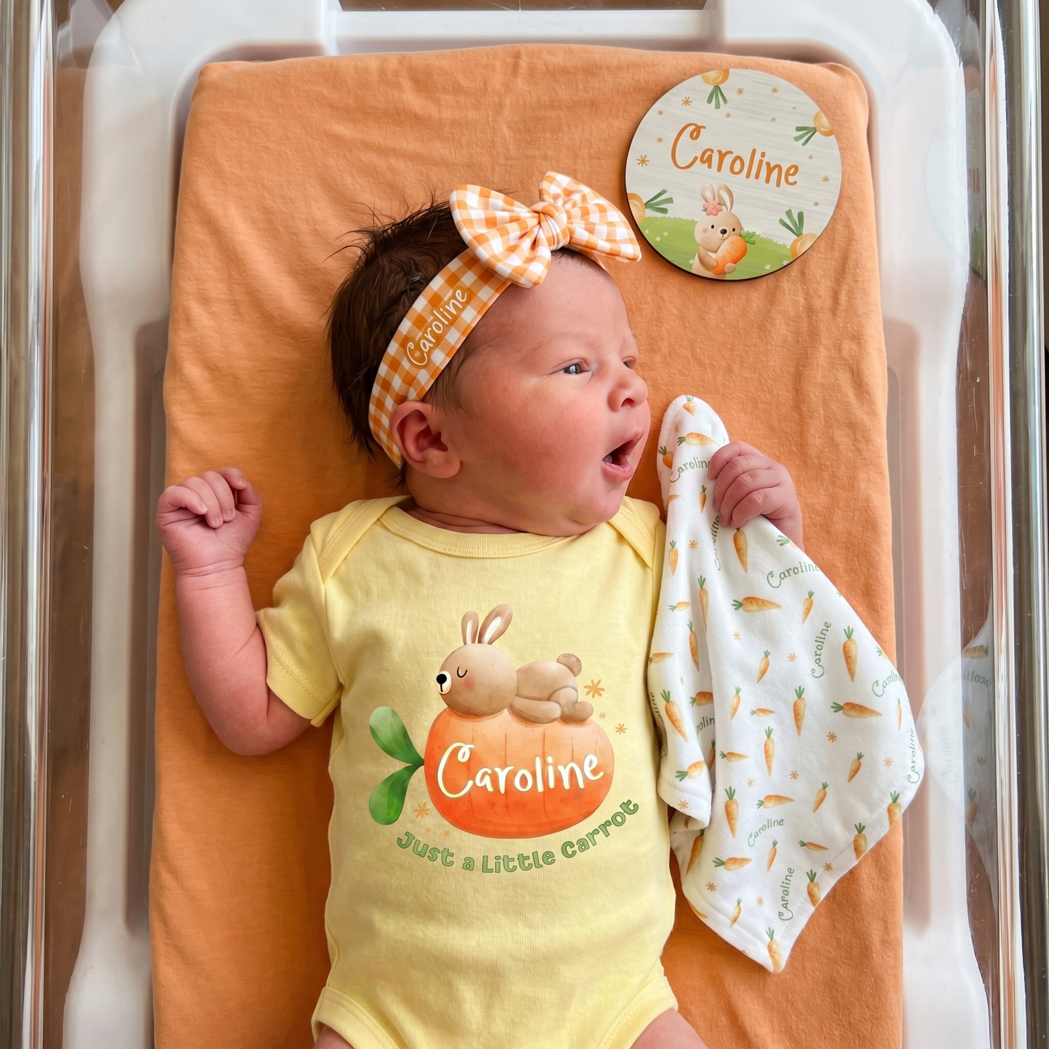 Personalized Mini Lovey in Carrot