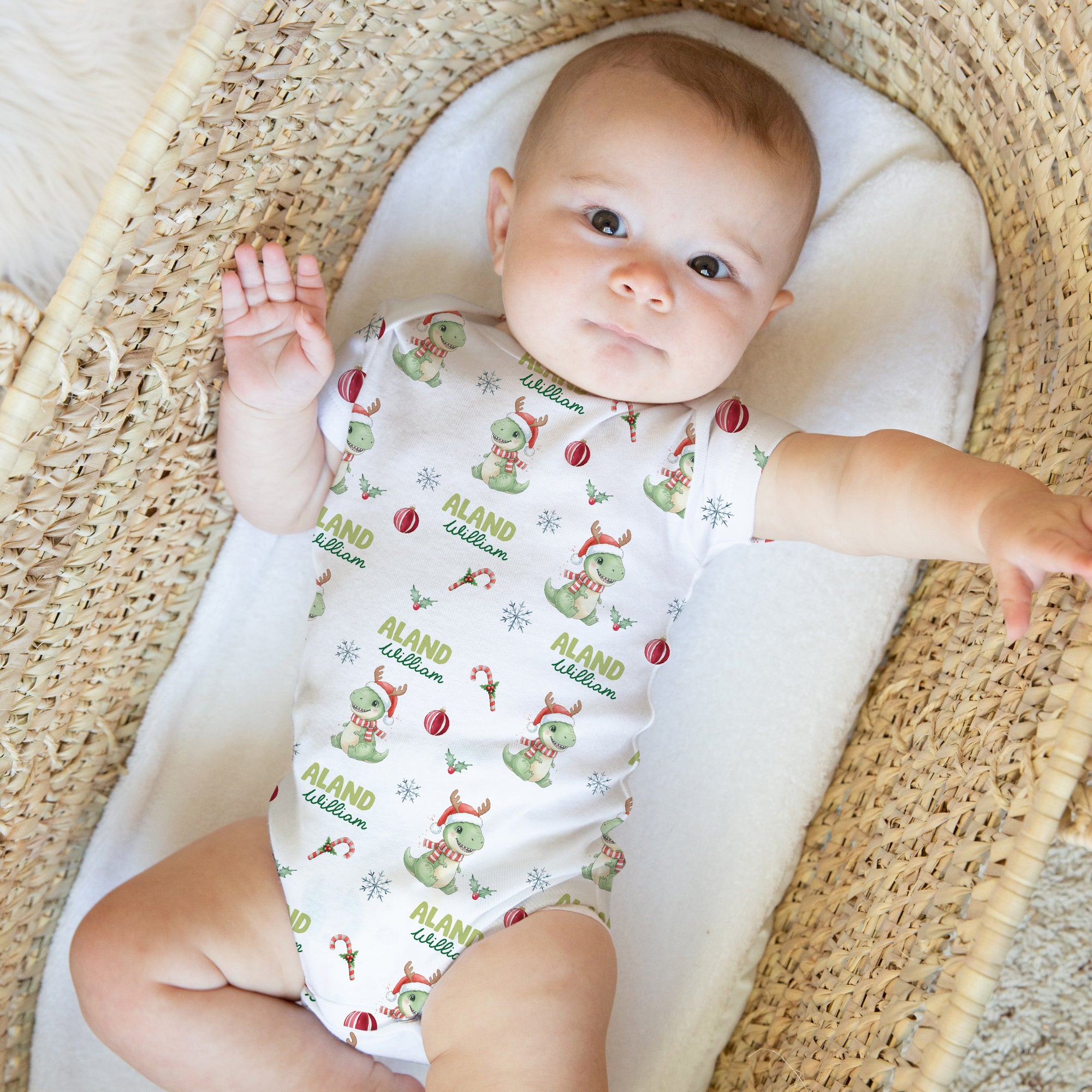 Personalized Bodysuit in Dinosaur's Christmas