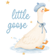 Silly Goose
