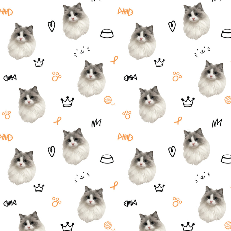 Kitty Portrait
