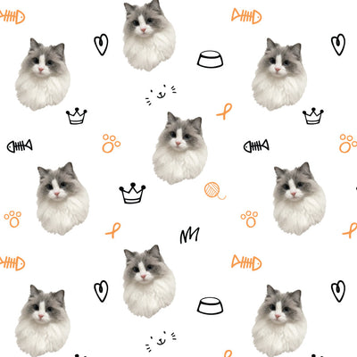 Kitty Portrait