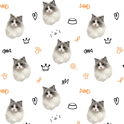 Kitty Portrait