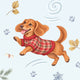 Winter Wag