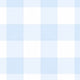 Baby Blue Gingham