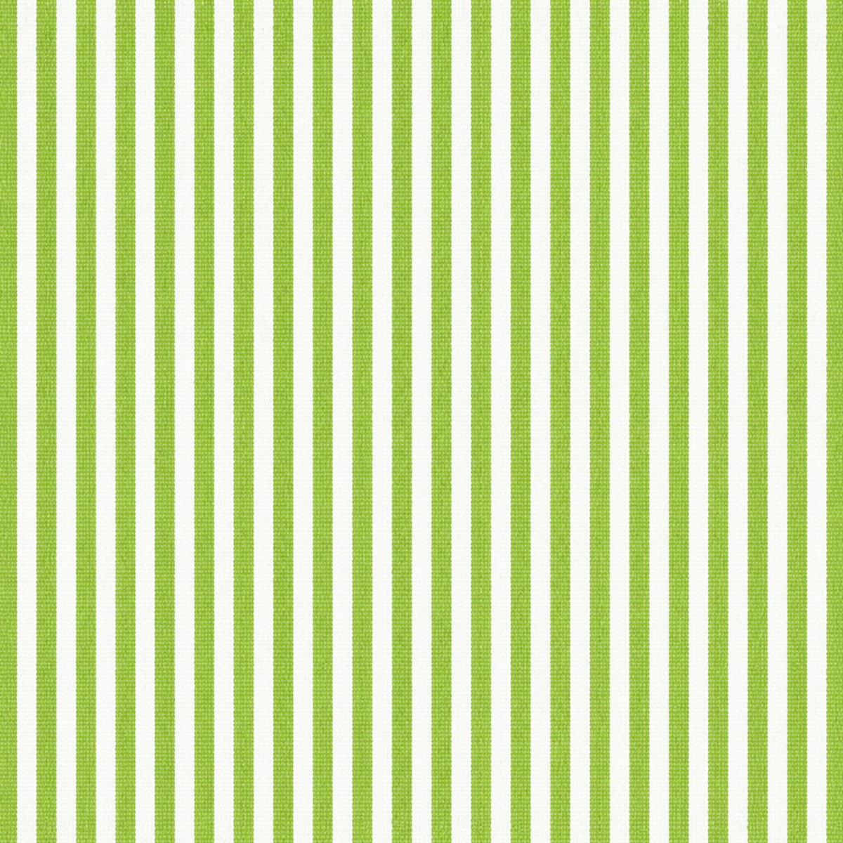Green Stripe