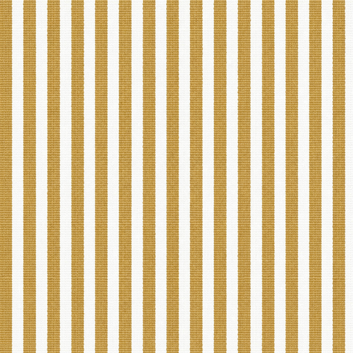Khaki Stripe