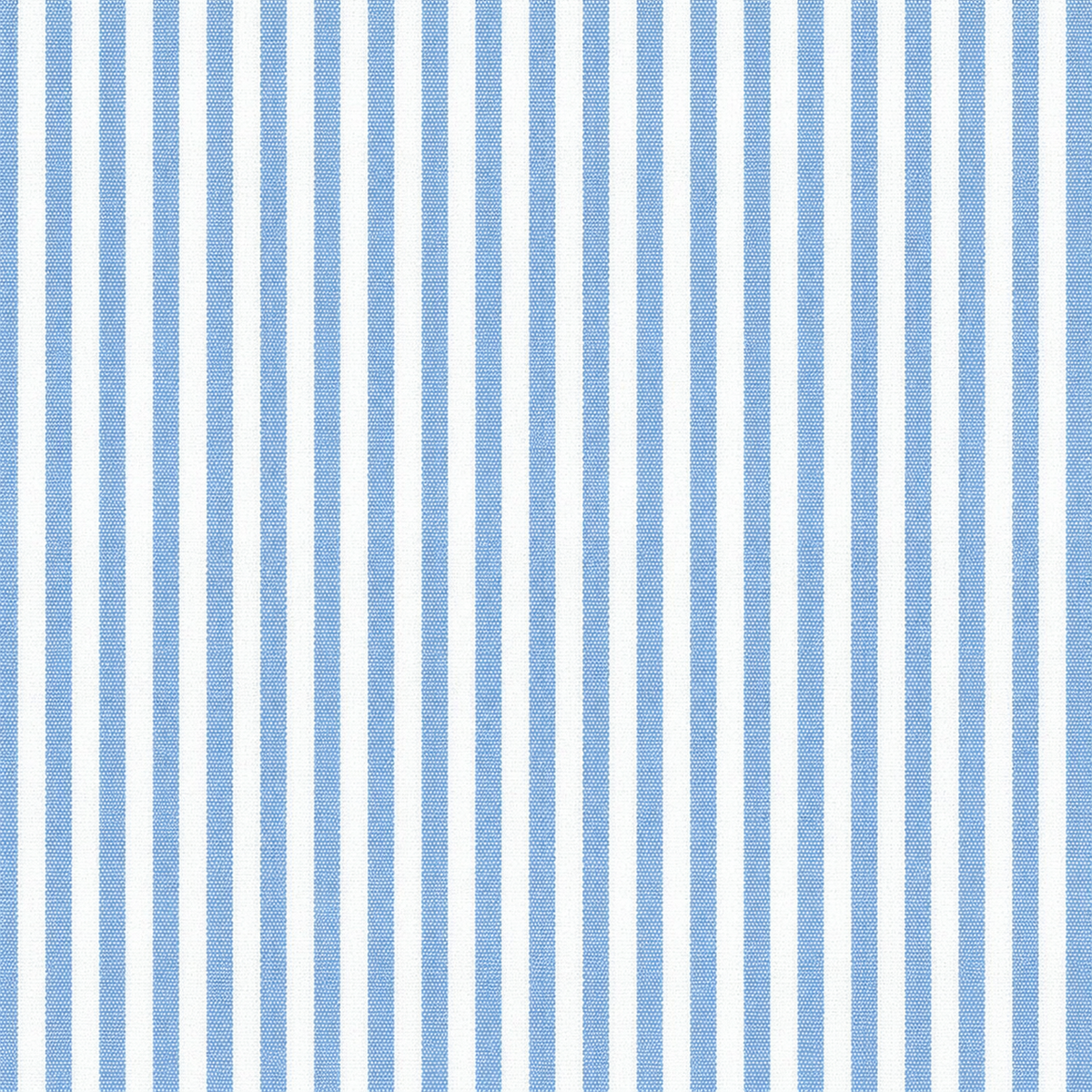 Blue Stripe