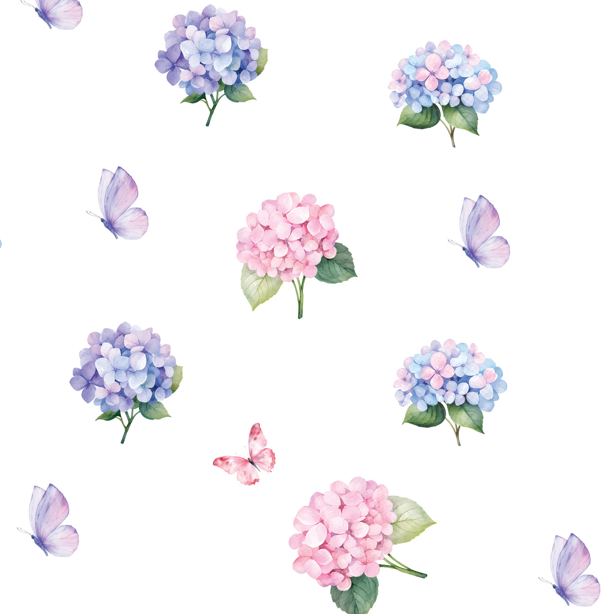 Purple Hydrangea