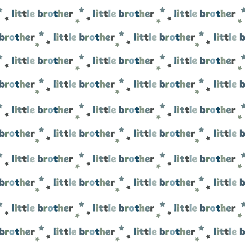 Little Brother