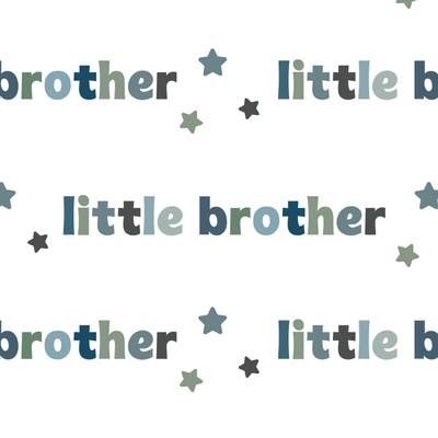 Little Brother