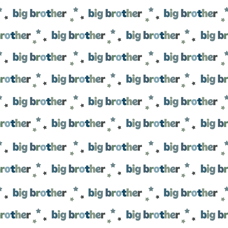 Big Brother