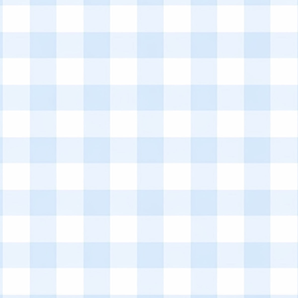 Baby Blue Gingham