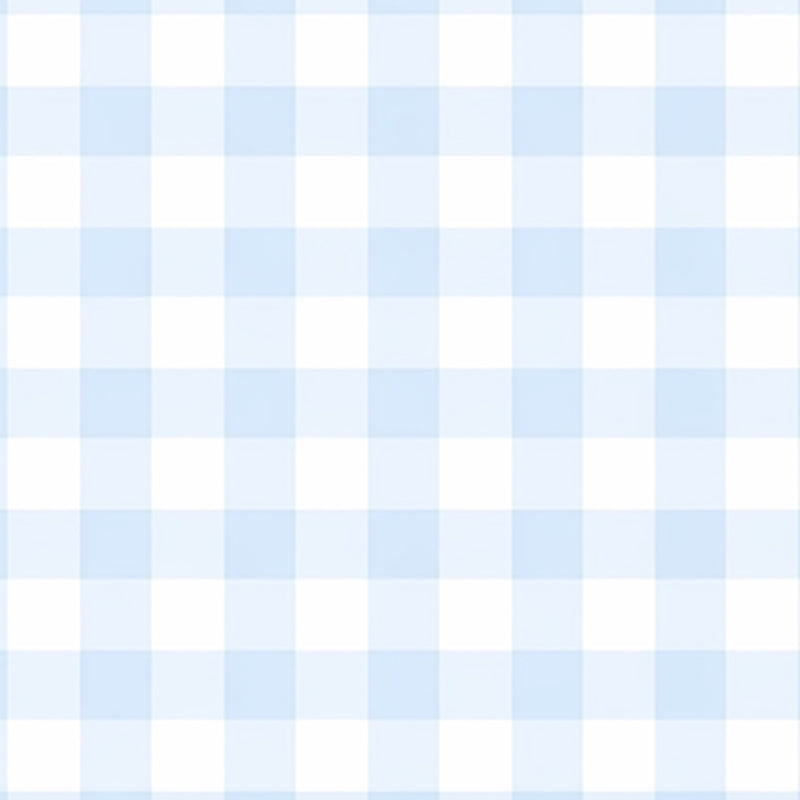 Baby Blue Gingham