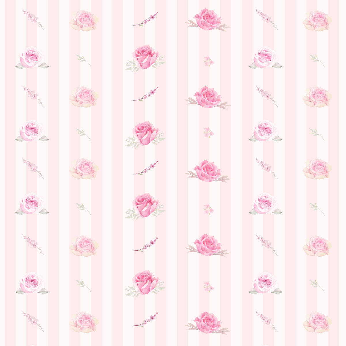 Rosy
