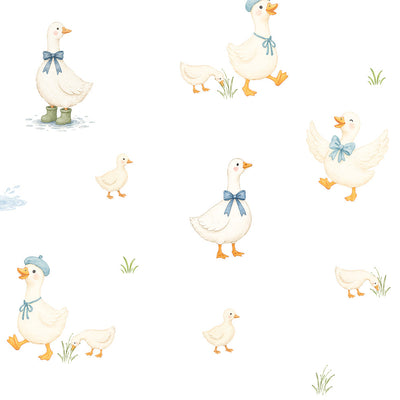 Silly Goose