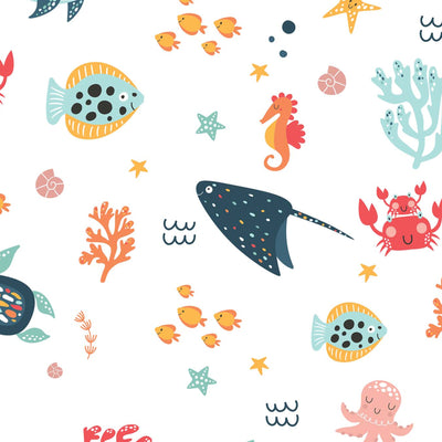 Ocean Animals