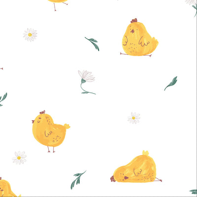 Little Chick